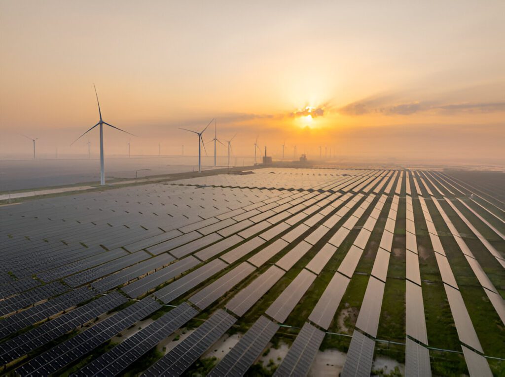 Zeytinli Group Powers a Sustainable Future with Landmark Solar Energy Investment.